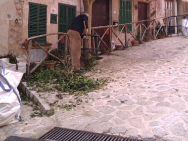 Poda Carrer Constitució - Febrer 2012 