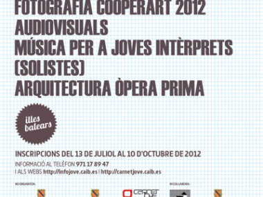 Convocatòria del Programa Cultural Art Jove per a l’any 2012