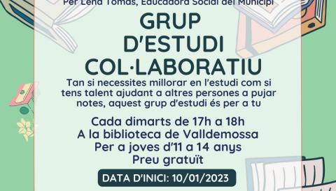 Grup d'estudi col·laboratiu