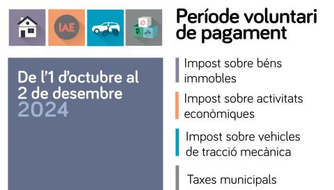 Pagament de tributs en termini voluntari 