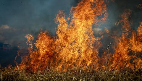 incendis